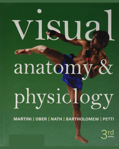 Visual-Anatomy-Physiology-3rd-Edition.png Visual Anatomy & Physiology 3rd Edition - Image 1