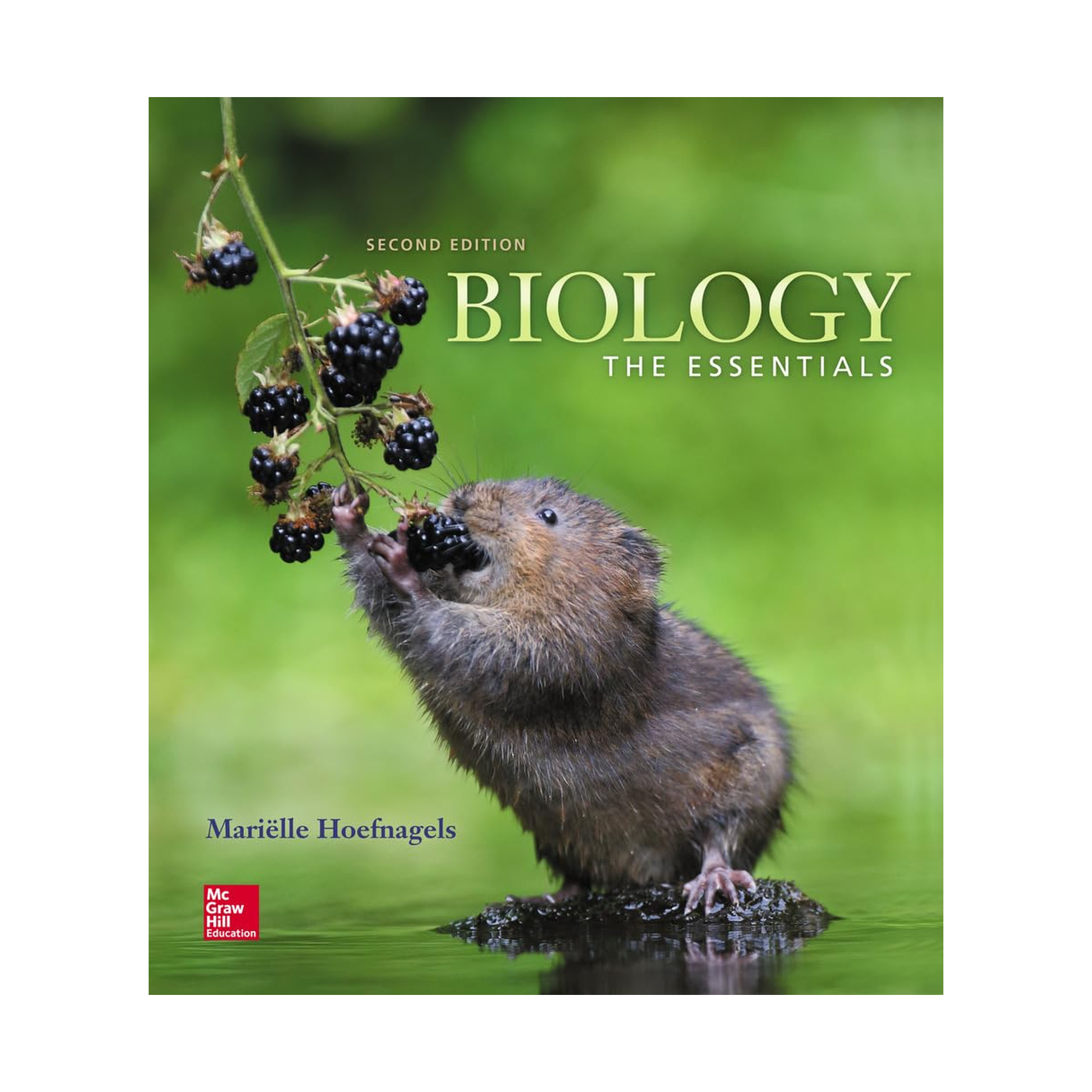 biology-the-essentials-2nd-edition-1.png Biology The Essentials 2nd Edition by Marielle Hoefnagels - Image 1