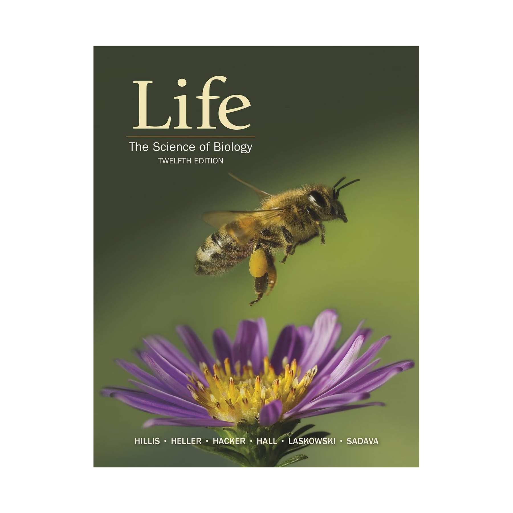 life-the-science-of-biology-12th-edition-1.png Life The Science of Biology 12th Edition by David Sadava - Image 1