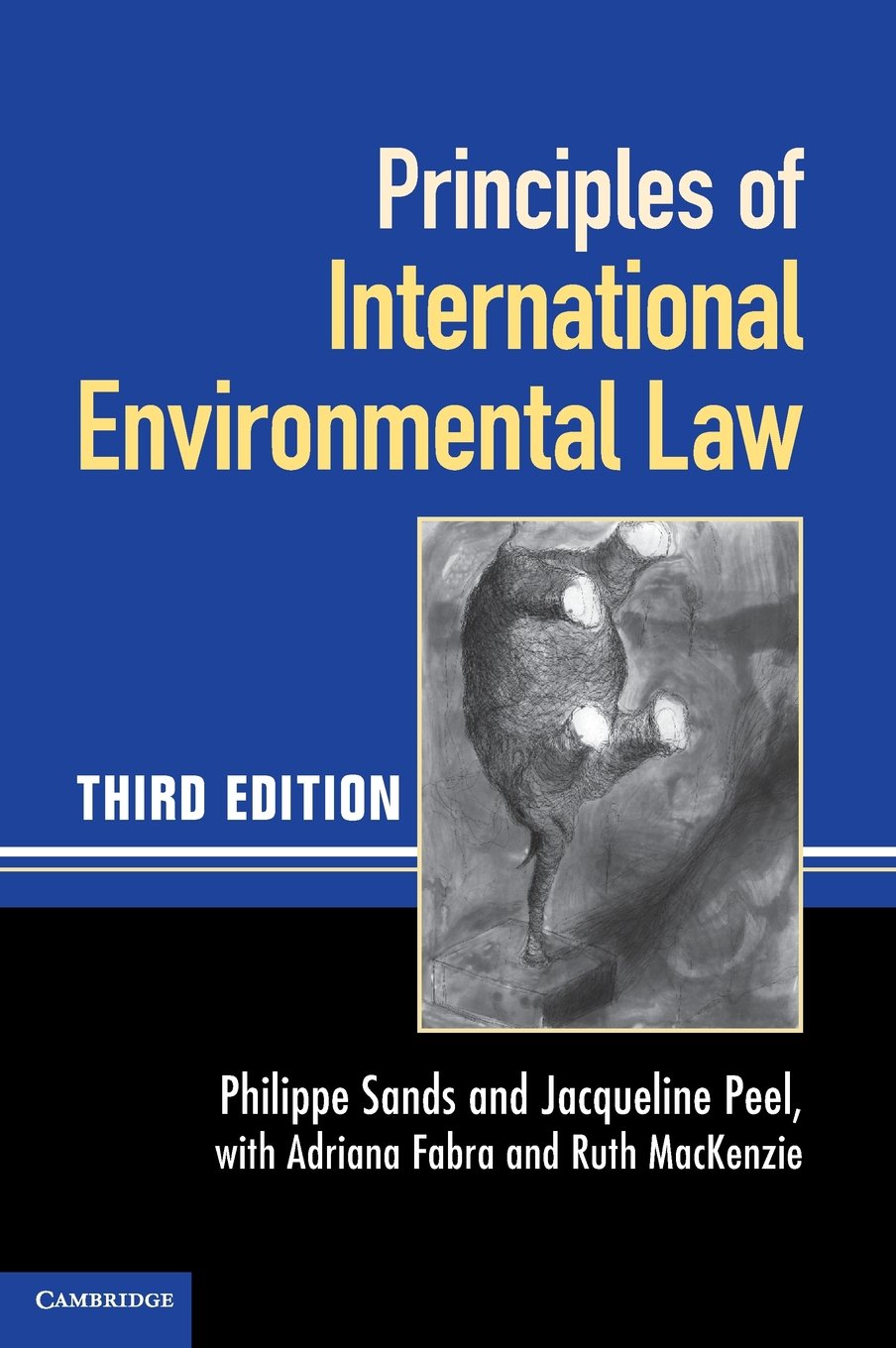 principles-of-international-environmental-law-isbn-13-9780521769594-get-to-principles-of-i.jpg Principles of International Environmental Law 3rd Edition - Image 1